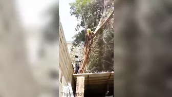 Hold On Tight And Wait For It