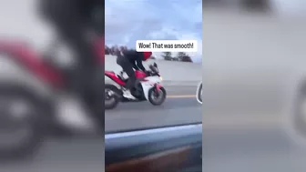 How Stupid Can You Be?