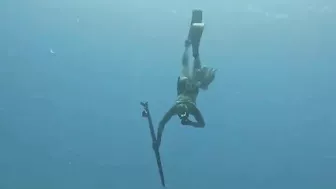I Saw Your Octopus Spearfishing Video And Will Match Your Money With An Octopus Spearfishing Video