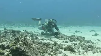 I Saw Your Octopus Spearfishing Video And Will Match Your Money With An Octopus Spearfishing Video