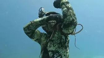I Saw Your Octopus Spearfishing Video And Will Match Your Money With An Octopus Spearfishing Video