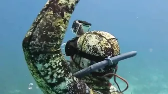 I Saw Your Octopus Spearfishing Video And Will Match Your Money With An Octopus Spearfishing Video