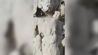 Capricorn, A Wild Goat