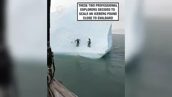 Iceberg Collapses