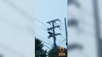 Idiot Who Tried To Steal Wires Was Blown To Death