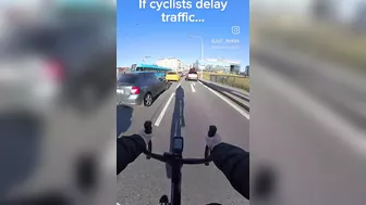 Reckless Drivers Are Ducks