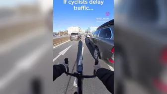 Reckless Drivers Are Ducks