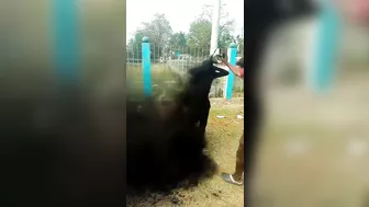 Indian Man In Shadow