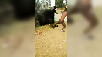 Indian Man In Shadow