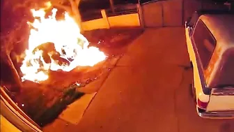 Instant ELON Karma Tesla Vandals Must Jump Over Burning Fence