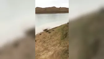 Did Not Reach The Water