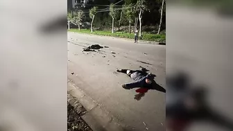 I've Seen A Lot Of Serious Accidents, But Not Many Ended Up On The Roof.