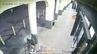 Only Shopping Cart Pushers Encounter Assholes