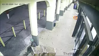 Only Shopping Cart Pushers Encounter Assholes