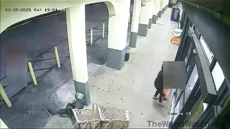 Only Shopping Cart Pushers Encounter Assholes