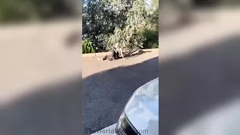 It's Crazy To Keep Making Movies.