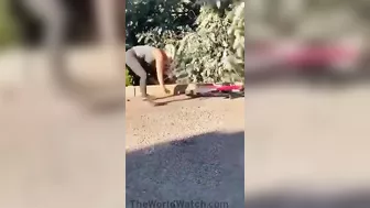 It's Crazy To Keep Making Movies.