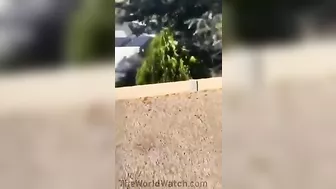 It's Crazy To Keep Making Movies.