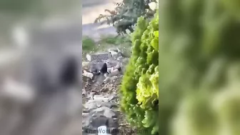 It's Crazy To Keep Making Movies.