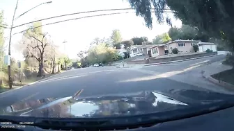 Los Angeles Driver This Is A Pedestrian Street With A Lot Of People.