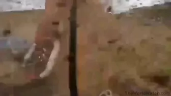 Wheelchair-bound Lawyer Dies In Go-kart Crash