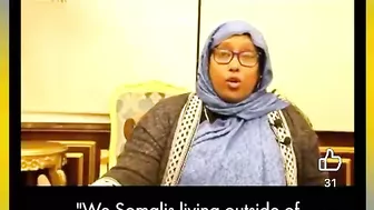 Main Representatives And Somali Immigrants