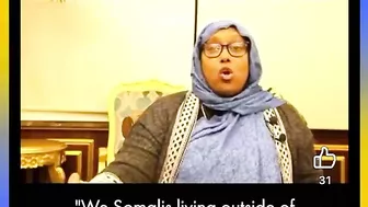 Main Representatives And Somali Immigrants