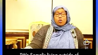 Main Representatives And Somali Immigrants