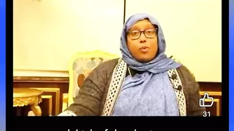 Main Representatives And Somali Immigrants