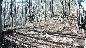 Man Attacked By Bear Defends Himself With Axe