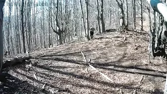 Man Attacked By Bear Defends Himself With Axe