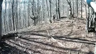 Man Attacked By Bear Defends Himself With Axe