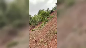 Man Dies When Tree-cutting Machine Overturns