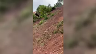 Man Dies When Tree-cutting Machine Overturns