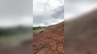 Man Dies When Tree-cutting Machine Overturns