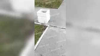 Man Falls From Apartment Window