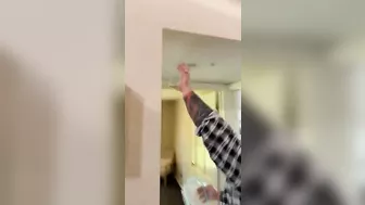 Man Tries To Safely Capture Spider