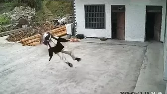 Motorcyclists Suffer Accidents Of The Year