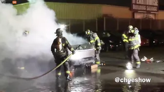 Several Democratic NGOs Coordinated Attacks On Tesla Dealerships