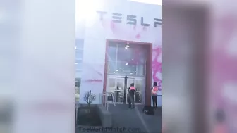 NEWS – Climate Clowns Attack Tesla Store In Montreal, Canada