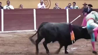 The New Bullfighter Uses A Cruel Megaphone Enema