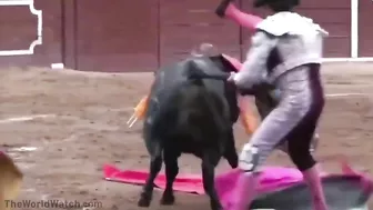 The New Bullfighter Uses A Cruel Megaphone Enema