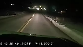 NSFW Language, Loud Warnings, OC Was Almost Hit Head-on By A Tesla
