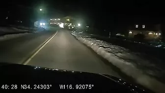 NSFW Language, Loud Warnings, OC Was Almost Hit Head-on By A Tesla