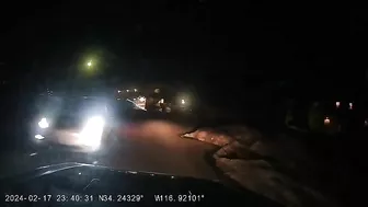 NSFW Language, Loud Warnings, OC Was Almost Hit Head-on By A Tesla