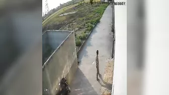 Man Collapses And Dies From Nervousness While Taking Morning Walk