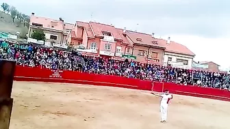 Never Mess With A Bull