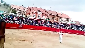 Never Mess With A Bull