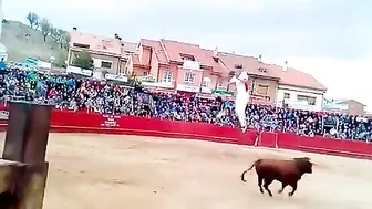 Never Mess With A Bull