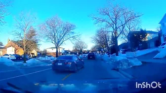 OC Idiot Turns And Makes Sound